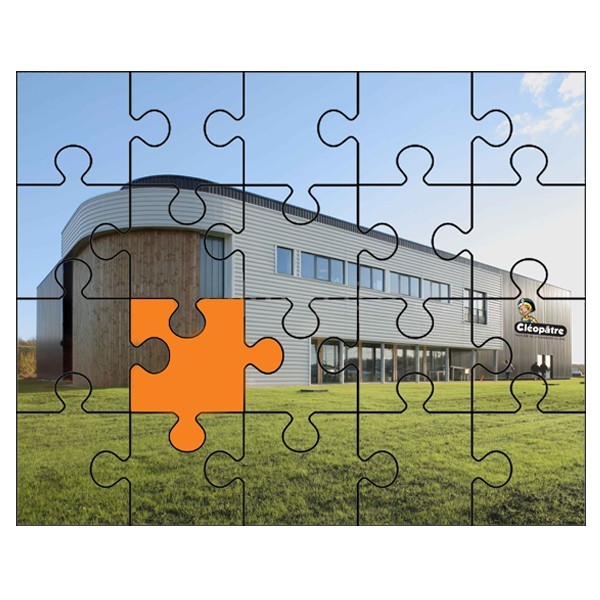 LM Puzzle Colle & Vernis 390 ml – Transparent – Colle pour puzzle/stockeur  idéale pour coller des