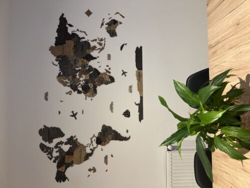 3D Wooden World Map Graphite photo review